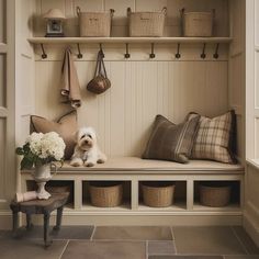 a dog is sitting on a bench in the mud room next to some baskets and flowers