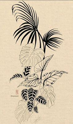 an ink drawing of tropical plants and leaves