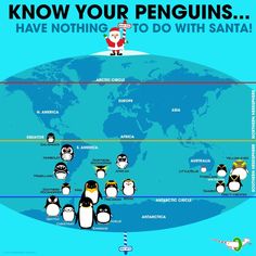 the penguins are all lined up on top of the world and one penguin is pointing at them