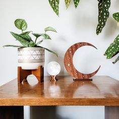 a wooden table topped with plants and a crescent shaped object next to it on top of a wooden shelf