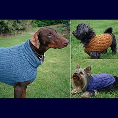 three pictures of dogs wearing sweaters in the grass, one with a dog on it's back