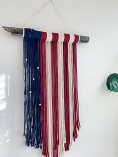 an american flag hanging on a wall next to a potted plant and wooden stick