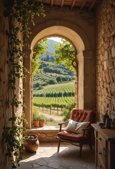 an arched doorway leading to a vineyard