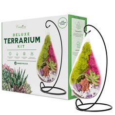 the terrarium kit is in its box and ready to be used as a planter