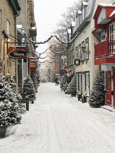 a snow covered street lined with buildings and christmas trees in the middle of winter time