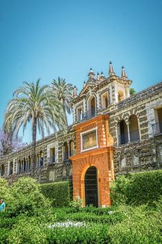 an old building surrounded by bushes and palm trees