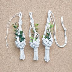 three ropes with plants in them on the ground