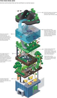 an info graphic showing the different types of trees