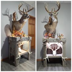 two pictures of deer heads on display in a room with wood flooring and gray walls