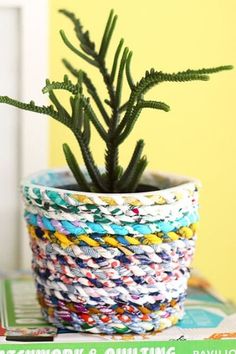 a small potted plant sitting on top of a table next to a stack of books