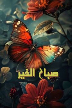 a butterfly with arabic writing on it and flowers in the foreground, against a blue background