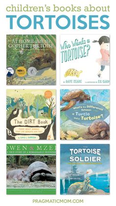 Children's Books About Tortoises #picturebook #tortoise #nonfiction Animal Poems, Turtle Day, Online Music Lessons, Owl Books, Homeschool Elementary, Virtual School, About Animals, Group Boards