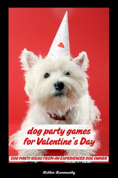 a white dog wearing a party hat with the words dog party games for valentine's day