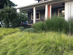 a house with tall grass in front of it and bushes growing on the side of the house