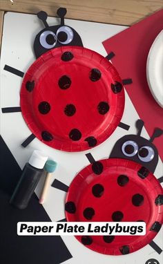 paper plate ladybugs are on the table