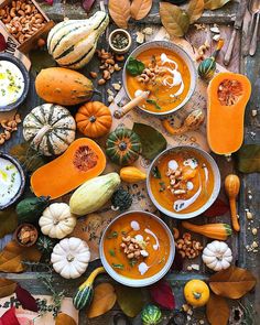 several bowls of soup are arranged on a table surrounded by pumpkins and gourds