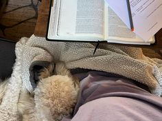 a dog is sleeping under a blanket with an open book