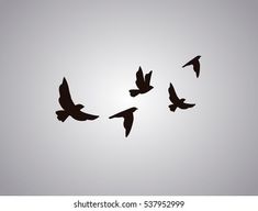 a flock of birds flying in the sky, silhouetted against a gray background with space for text