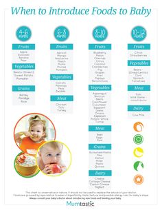 a baby's food list with the words when to introduce foods to baby