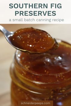 a spoon full of jam sitting on top of a jar with the words southern fig preserves