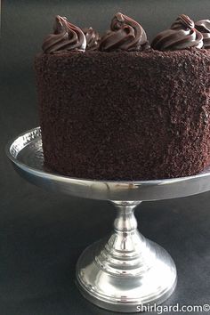 a chocolate cake sitting on top of a metal plate