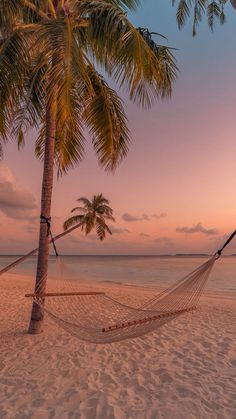 a hammock hanging between two palm trees on the beach at sunset or dawn