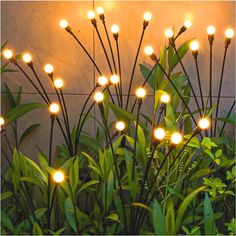 some lights that are on the side of a building in front of grass and plants