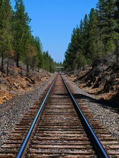 the railroad tracks are lined with trees on both sides and blue sky in the background