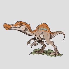 an orange and white t - shirt that has a dinosaur on it's back