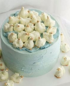 Cake Duck, Birthday Cake Alternatives, Easter Office Decorations, Cake Alternatives, Duck Cake, Crafts Easter, Cute Baking, Office Decorations, Pretty Birthday Cakes