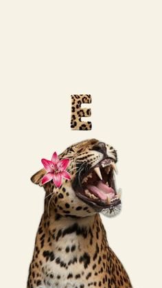 a leopard with its mouth open and the letter e in the background is spelled out