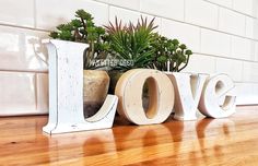 the word love spelled out in front of some succulents and potted plants