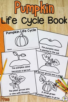 pumpkin life cycle book for kids to color and print on the table with pencils