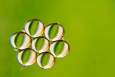 several drops of water sitting on top of a green surface