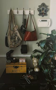 there are many purses hanging on the wall next to some plants and other things