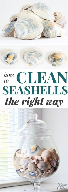 an image of clean seashells in a bowl