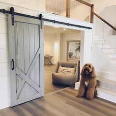 a dog sitting on the floor in front of an open barn door that leads to a living room