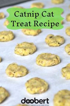 catnip cat treat recipe on a baking sheet with text overlay that reads, catnip cat treat recipe