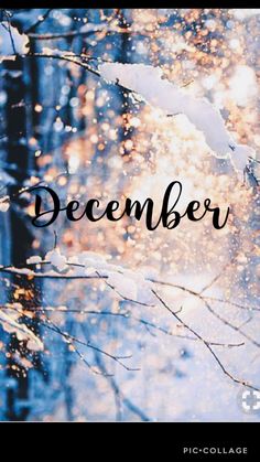 the words december are written in front of trees