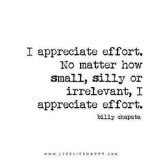 a quote that says i appreciate effort no matter how small, silly or irrelvant, i appreciate effort