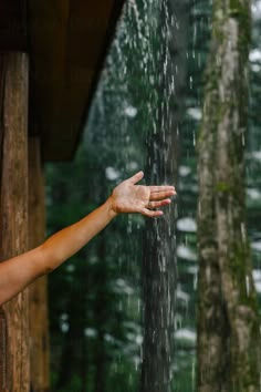 a person's hand reaching out from under a rain shower in the woods by jodi lenski for stocks