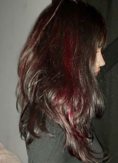 dylan trent Halo Hair Color, Red Halo Hair, Pretty Little Liars Aesthetic, 0 Aesthetic, Black And Red Hair, Wine Hair, Red Hair Inspo, Vibrant Hair, Hair Tint