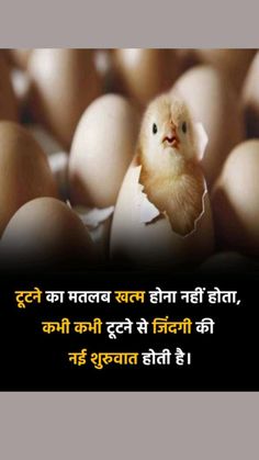 an image of chicken in the middle of eggs with caption sayings on it