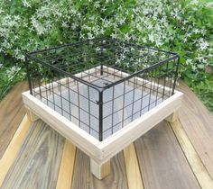 a dog cage sitting on top of a wooden floor next to green plants and flowers