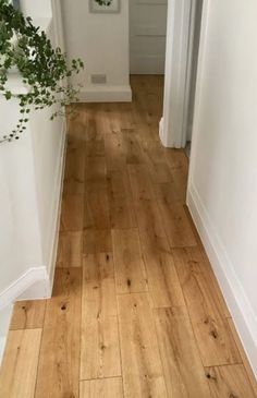 the hallway is clean and ready to be used as a place for plants or flowers