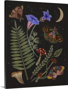 an image of flowers and butterflies on a black background