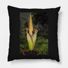 a black pillow with an image of a flower in the center and plants around it