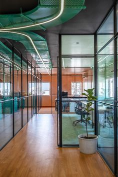 an office with glass walls and wood flooring is lit by green light from the ceiling