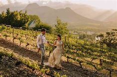 a newly married couple walking through the vineyard