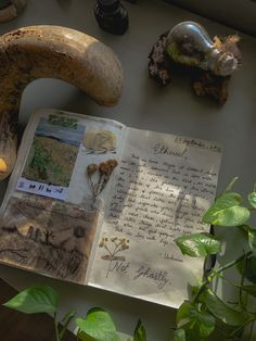 an open book sitting on top of a table next to plants and other things in front of it